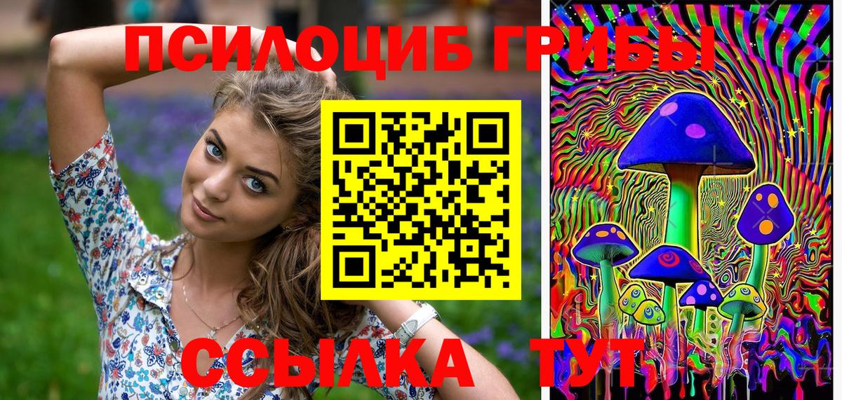 Омск  Псилоцибиновые грибы мухоморы  Псилоцибиновые грибы Magic Shrooms  Вход с VPN 