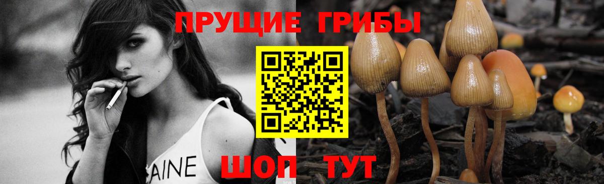 Псилоцибиновые грибы прущие грибы Омск